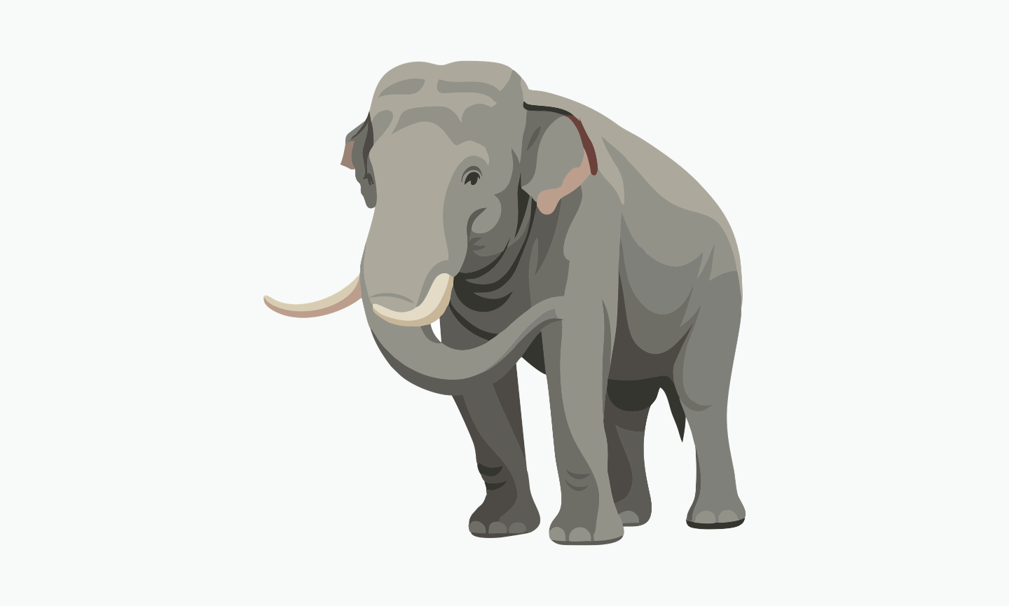 Asian Elephant | Type of Elephant
