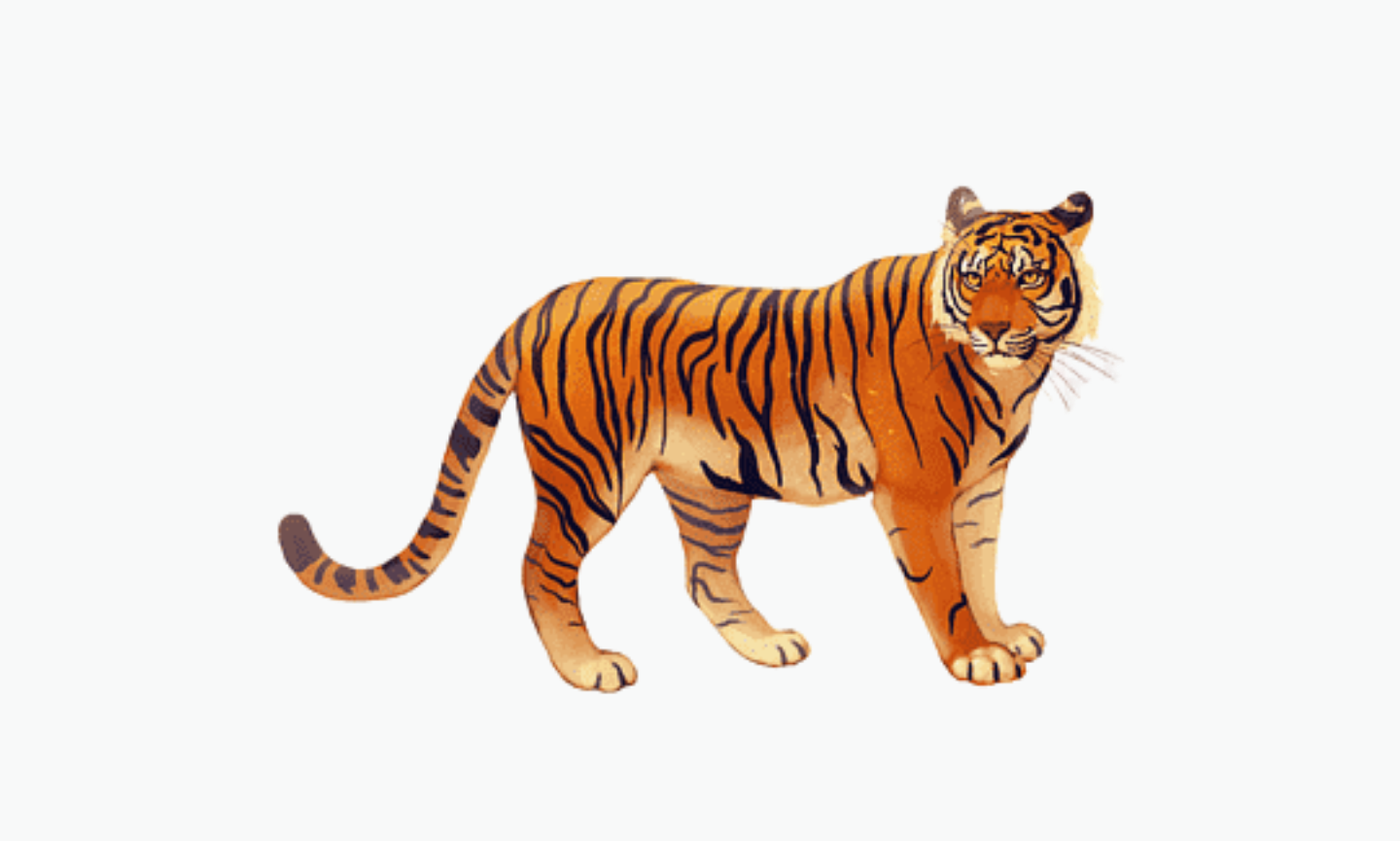 Bali Tiger | Types of Tiger