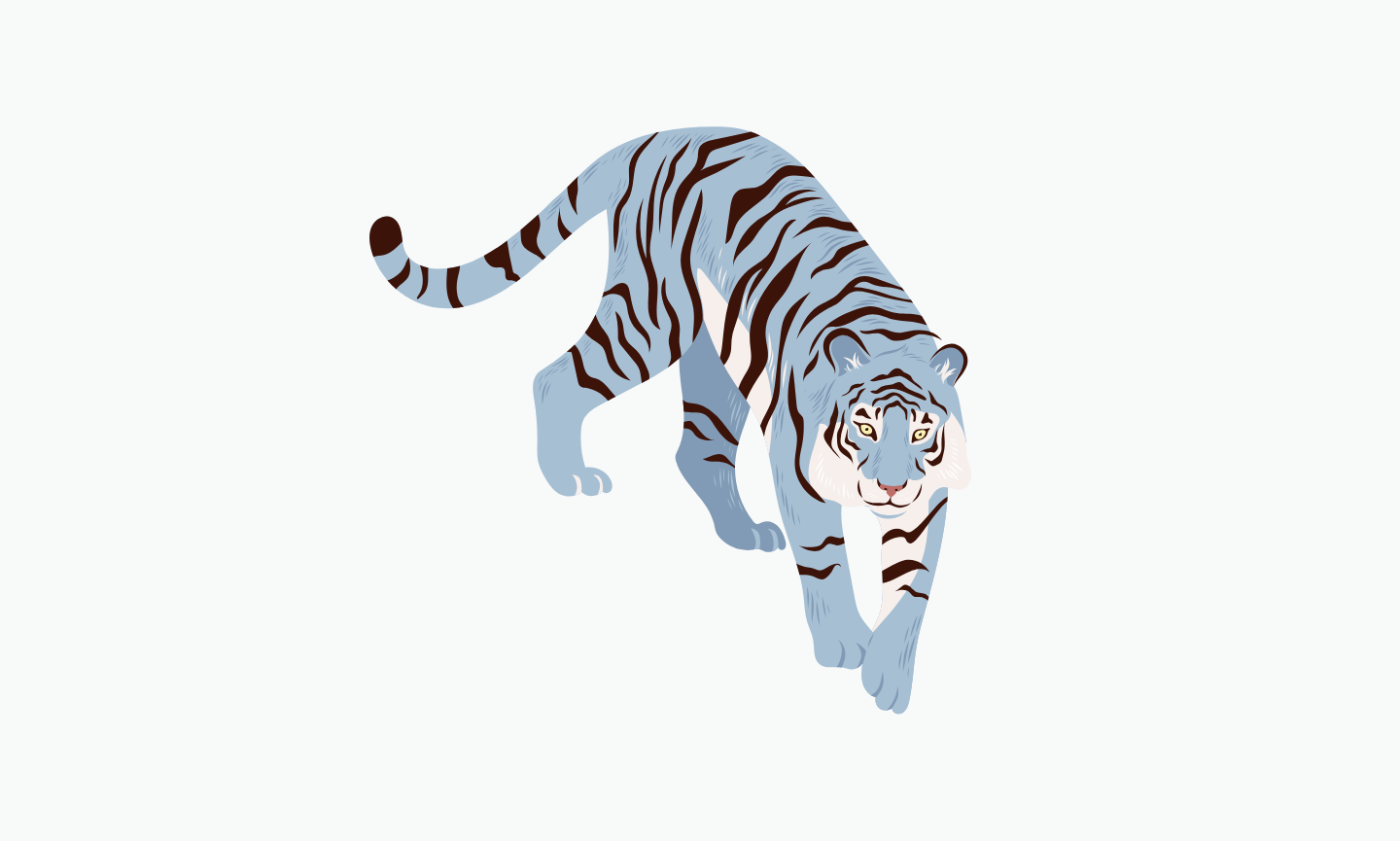 Blue Tiger | Types of Tiger