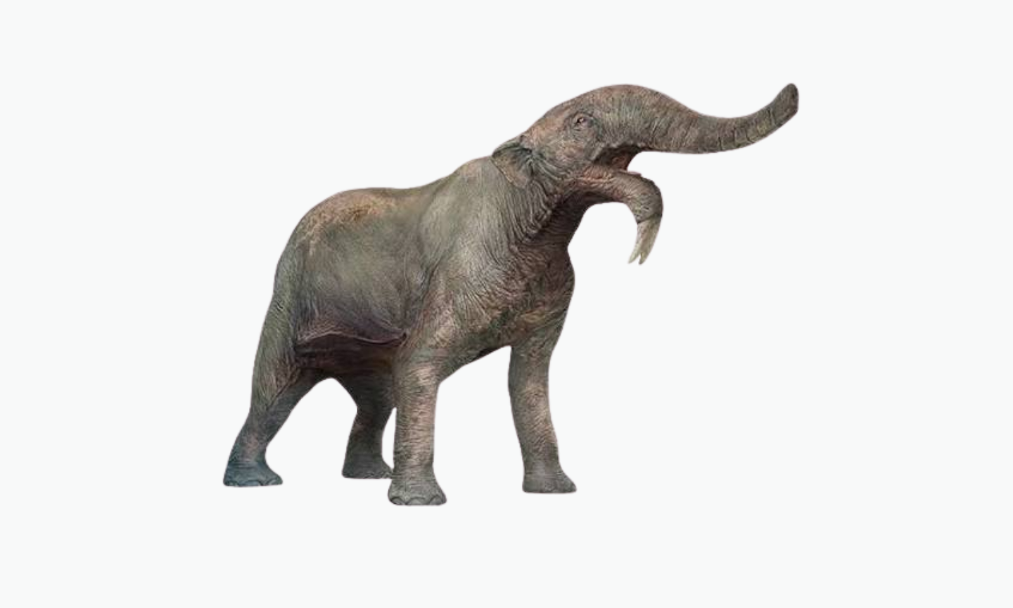 Deinotherium | Type of Elephant