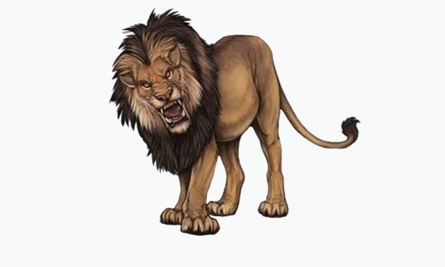 Kalahari Lion | Types of Lions