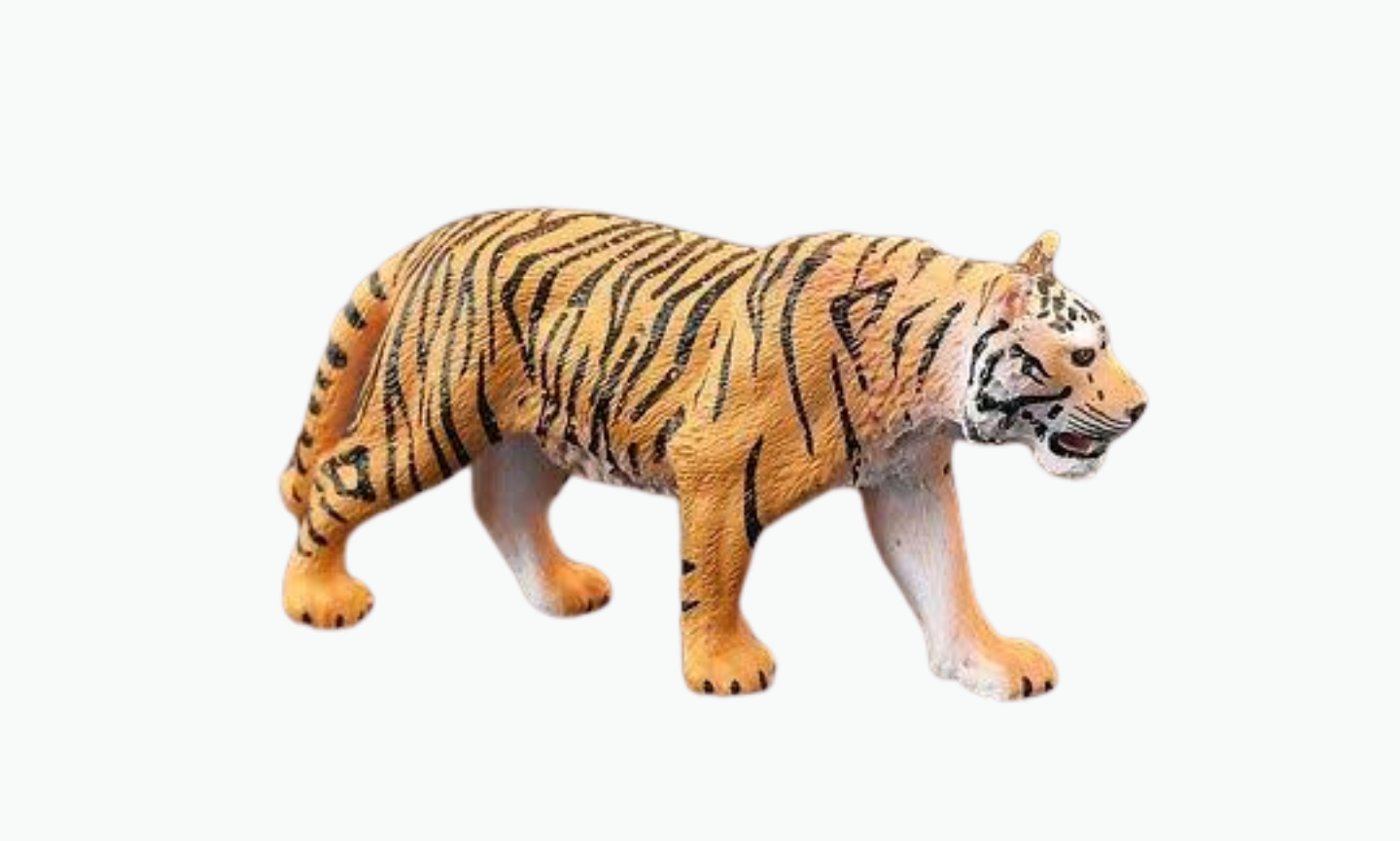 Manchurian Tiger