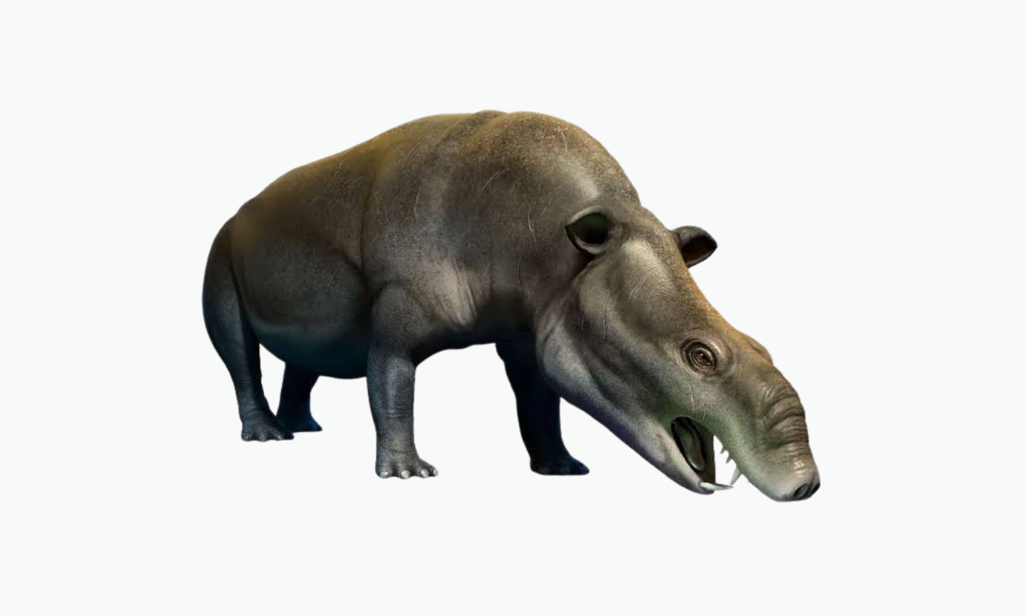 Moeritherium