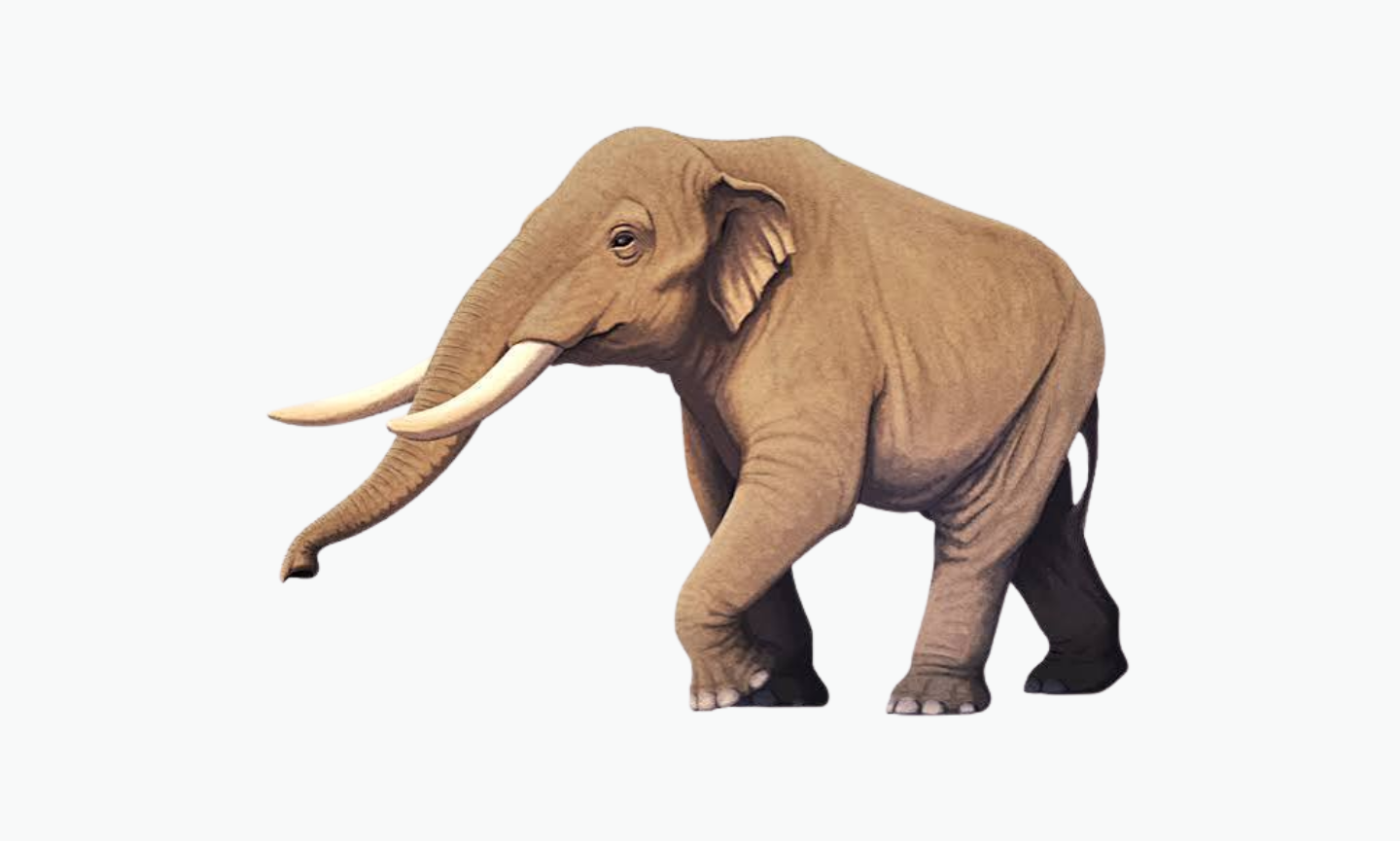 Notiomastodon