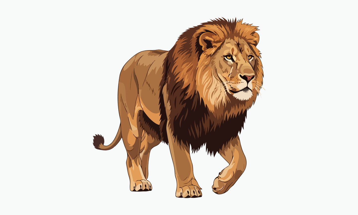 Senegal Lion | Types of Lions