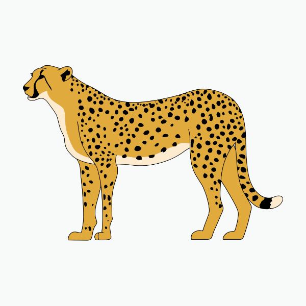 Asiatic
